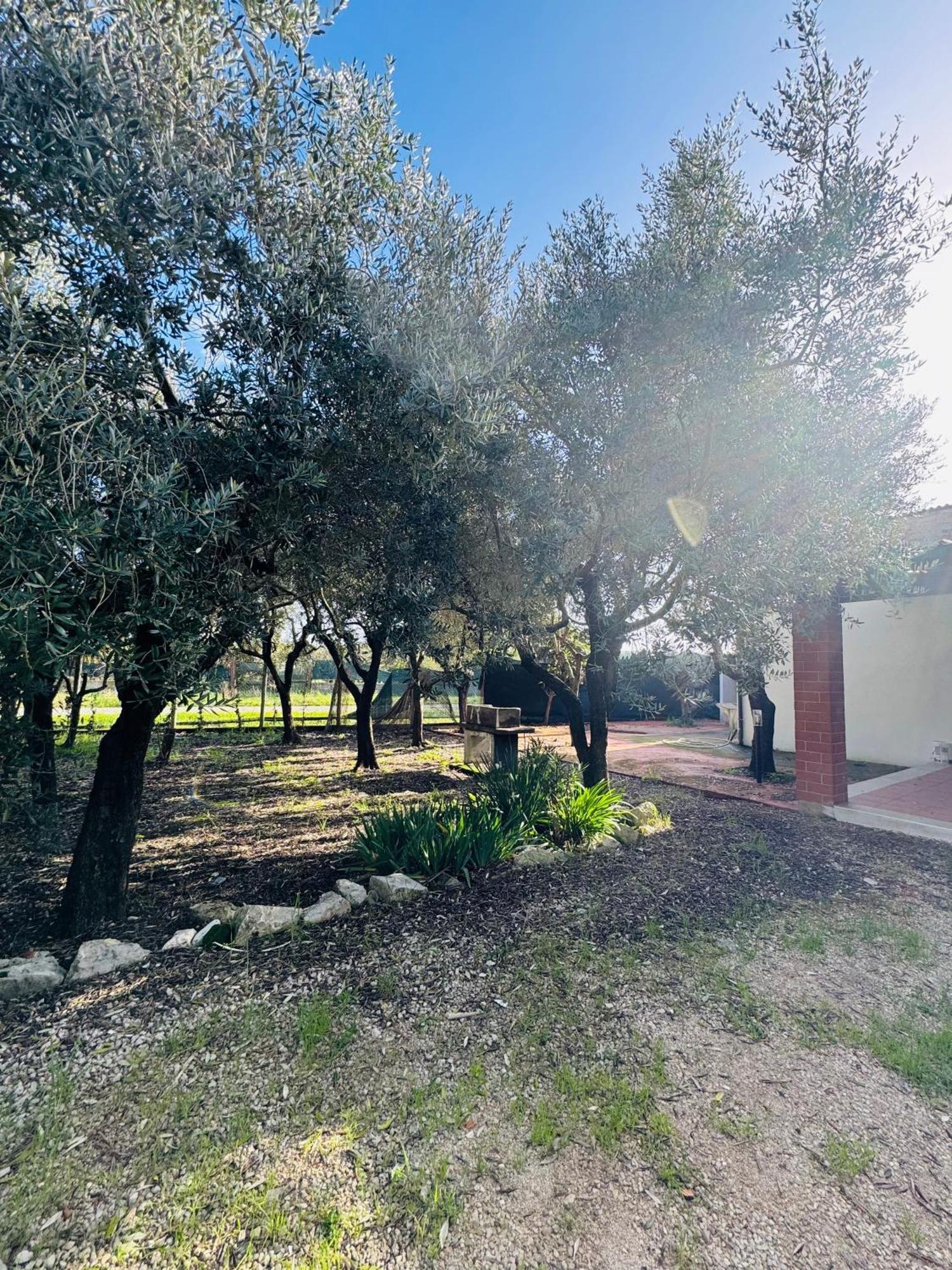 La Perla Di Dea Villa Lido Di Fondi Exterior photo